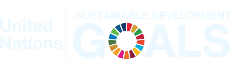 United Nations Sustainable Development Goals